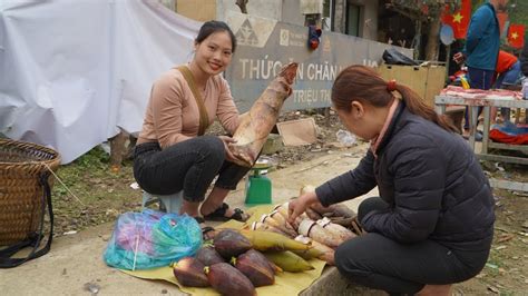 Full Video Harvest Bamboo Shoots Green Vegetables Ground Tubers And Bring To The Market To