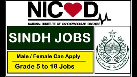 NICVD Jobs 2023 National Institute Of Cardiovascular Diseases