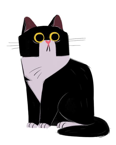 Tuxedo Cat Drawing