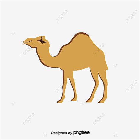 Camel Cartoon Clipart De Chameau Dessin Anim Chameau Fichier Png Et