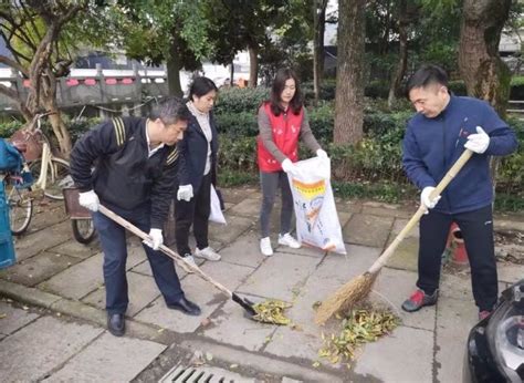 留下街道用党建组织力， 助推小城镇环境综合整治显成效——浙江在线