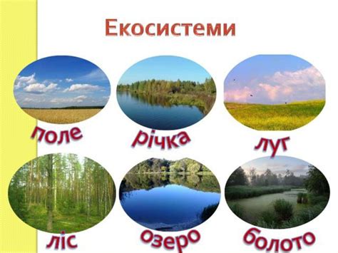 Пізнаємо світ разом: Дистанційне навчання (природознавство)