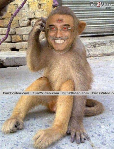 ugly monkey man to the rescue | Funny pictures tumblr, Funny pictures ...