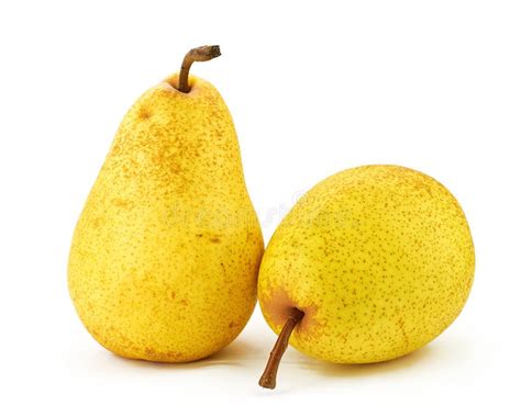 One Ripe Juicy Pear Isolated Stock Image Image Of Fresh Food