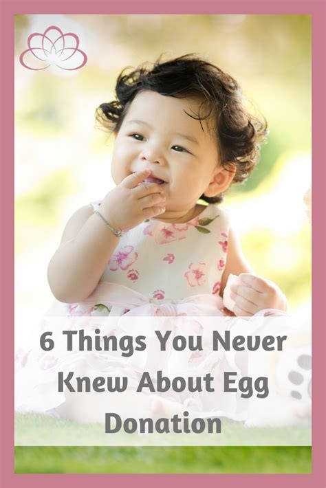 6 Things You Never Knew About Egg Donation Artofit