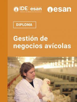 Diploma En Gesti N De Negocios Av Colas Ide Esan