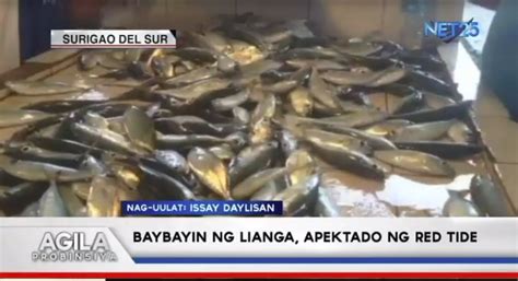 Baybayin Ng Lianga Surigao Del Sur Apektado Ng Red Tide Eagle News