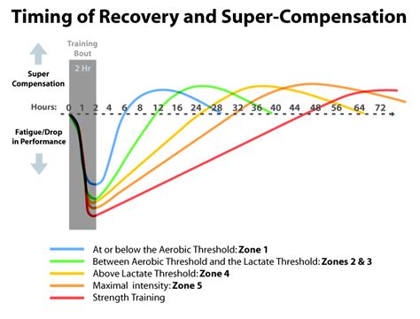 Recovery Strategies For Endurance Training Uphill Athlete