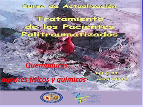 PDF Quemaduras agentes físicos y químicos Traumatismo