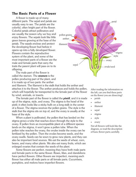 Basic Parts Flower 1