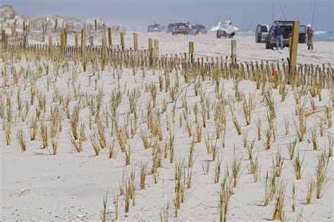 Hours extended, beach access expanded at Island Beach State Park as summer nears - nj.com