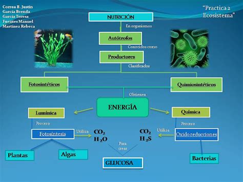 Cuaderno De BiologÍa Iv De Brenda Grupo 618 Mapa Conceptual De La NutriciÓn AutÓtrofa Y