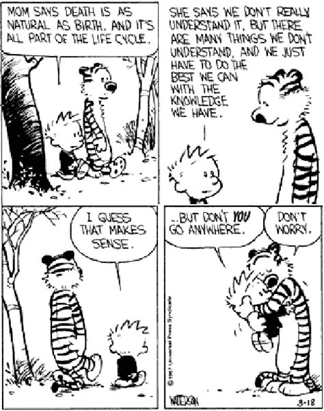 Pin By Judit Kokas On Fun Stuff Calvin And Hobbes Comics Calvin And