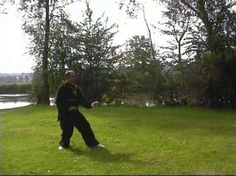 Xing Yi Quan 5 Elements Fists 形意五行拳之劈崩钻炮横拳 YouTube