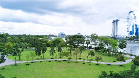 Gardens By The Bay East Mrt Fasci Garden