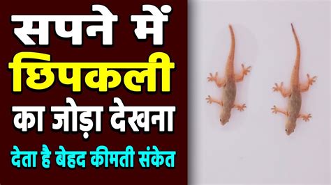 Sapna Me Chipkali Ka Joda Dekhna Seeing Lizard Pair In Dream