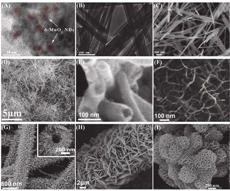 TEM and SEM images of several nanostructured MnO 2 A The í µí MnO2