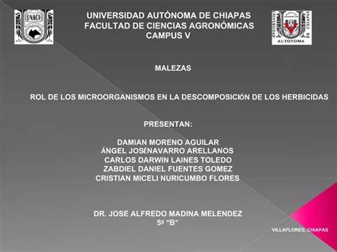 PPT UNIVERSIDAD AUT NOMA DE CHIAPAS FACULTAD DE CIENCIAS AGRON MICAS