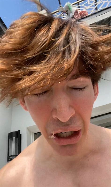 Albert on Twitter | Flamingo/albert, Albert/flamingo, Flamingo photo