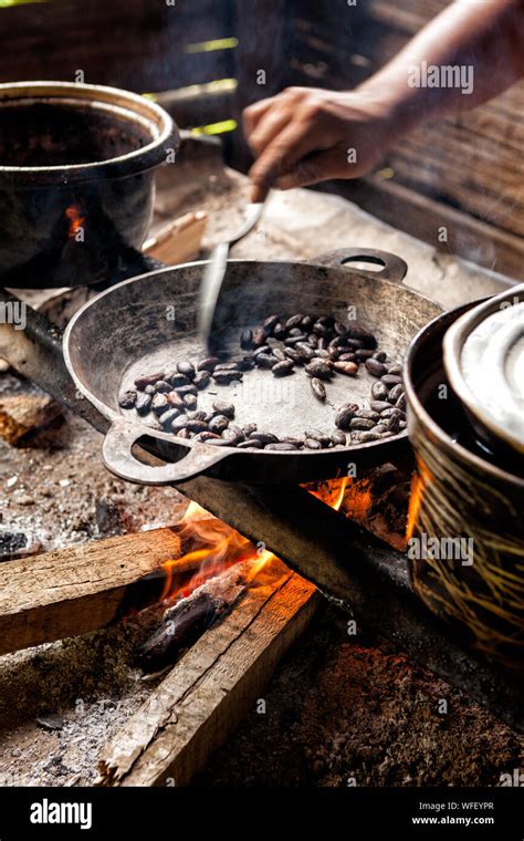 Real Cocoa Bean Hi Res Stock Photography And Images Alamy