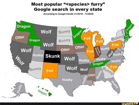 Most Popular Furry Google Search In Every State According To Google