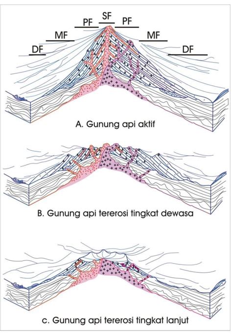 STRATIGRAFI GUNUNG API FASIES GUNUNG API PURBA GAJAHMUNGKUR