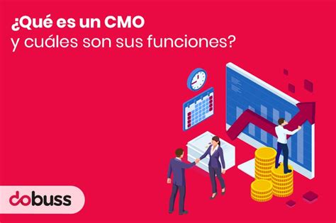 Qu Es Un Cmo Y Cu Les Son Sus Funciones