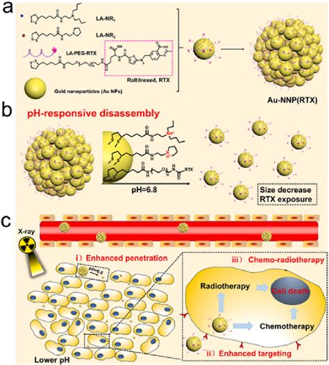 PH Responsiveness A A Scheme Of Au NNP RTX Nanoassembly B A