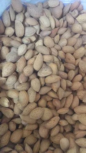 Variety Sonora Almonds Inshell Almond Nuts At Kg In Bengaluru