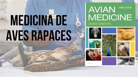 ANATOMIA Y FISIOLOGÍA AVIAR y MEDICINA DE RAPACES por el Dr Jaime