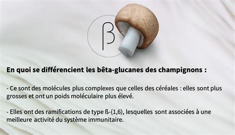 Les Bêta Glucanes Modulateurs du Sytème Immunitaire Hifas da Terra