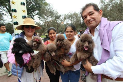 El Ltimo Ladrido De La Moda En San Isidro Municipalidad De San Isidro