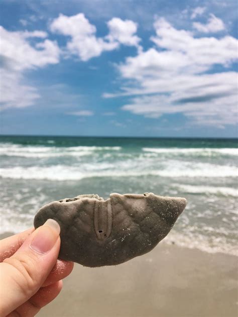 13 Reasons To Visit Ocracoke Island North Carolina Ocracoke Island