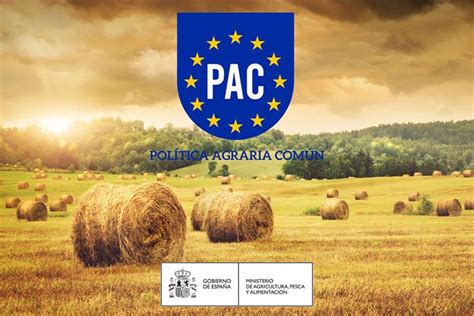 Qu Es La Pol Tica Agraria N Pac Grandes Cultivos