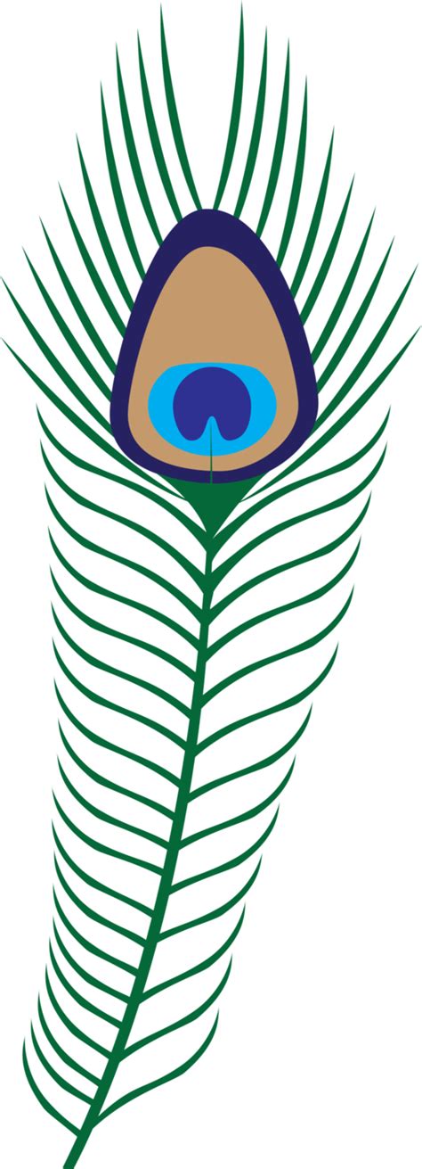 Vector Peacock Feather Colorful Plume Nature Element Wildlife Symbol