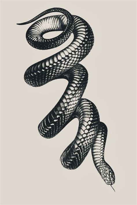 Pin By Surya Madddy On Tattoo Ideas Snake Tattoo Design Tattoos For