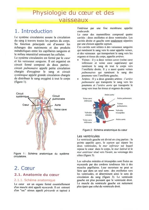 Solution Physiologie Cardiovasculaire Studypool