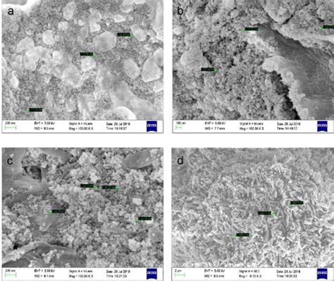 SEM Image A Naked SPIONs B Functionalized With Oleic Acid C