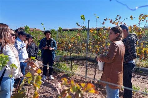 Tour Privado De Bodegas Por Aguascalientes Aguascalientes