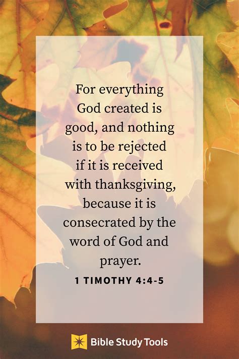 Your Daily Verse - 1 Timothy 4:4-5