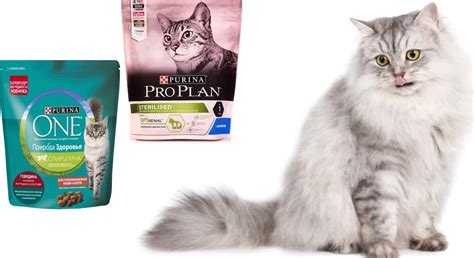 Корма для стерилизованных кошек Purina: сухие корма для кастрированных ...