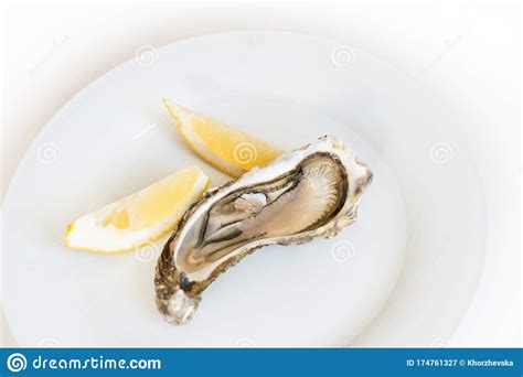 Fresh Oyster With Lemon Raw Fresh Oyster On White Round Plate Image Isolated With Soft Focus