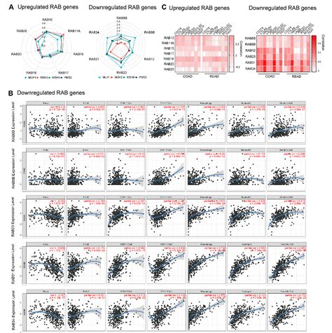 Figure 4 From The Role Of Rab Gtpases And Its Potential In Predicting