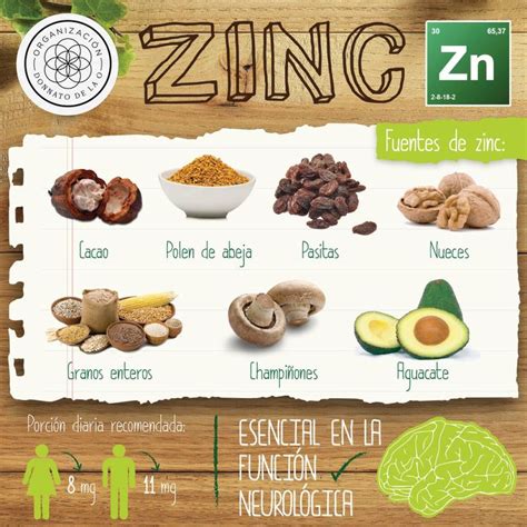 Alimentos Altos En Zinc Alimentos Vegetarianos Alimentos Alimentos