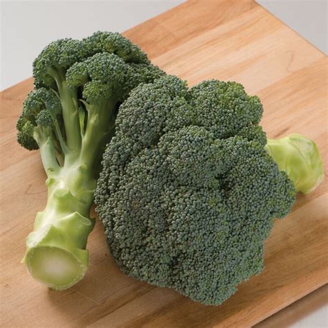 Imperial Broccoli Lazy Eight Stock Farm