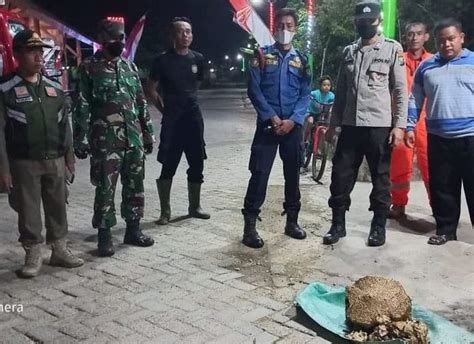 Damkar Bojonegoro Tangani 735 Kejadian Didominasi Evakuasi Ular