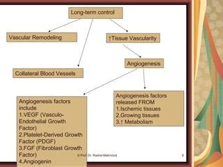 Mechanism Of Blood Flow Control Ii Ppt