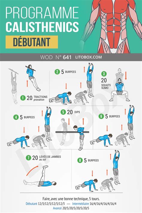 Programme Calisthenics D Butant Efficace Programme Musculation Homme