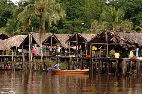 Guasabaraeditores Herencia Ecol Gica En Am Rica Los Palafitos