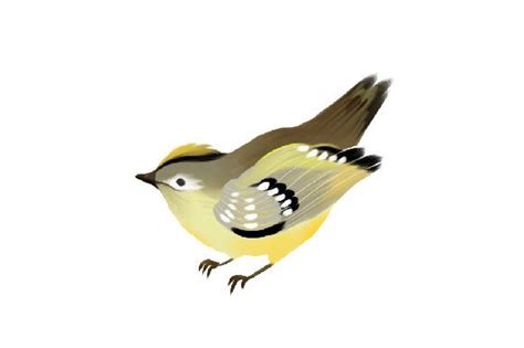 Watercolor Spring Bird Svg Cut File By Creative Fabrica Crafts